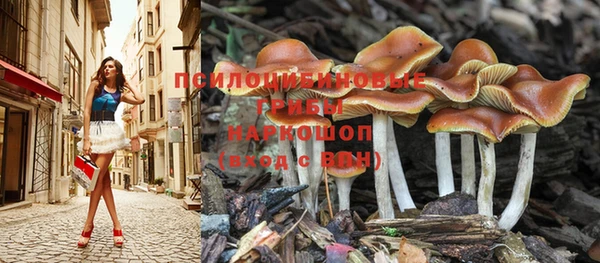 гашиш Саяногорск