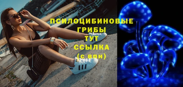 spice Рославль